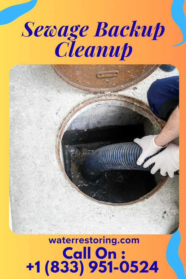 Sewage Backup Cleanup in Funkley, MN